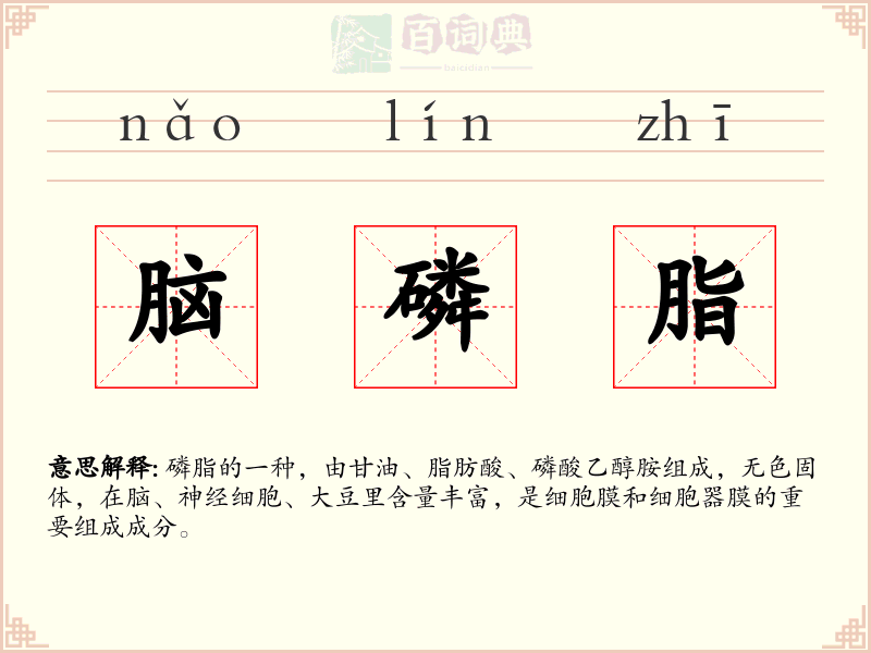 脑磷脂