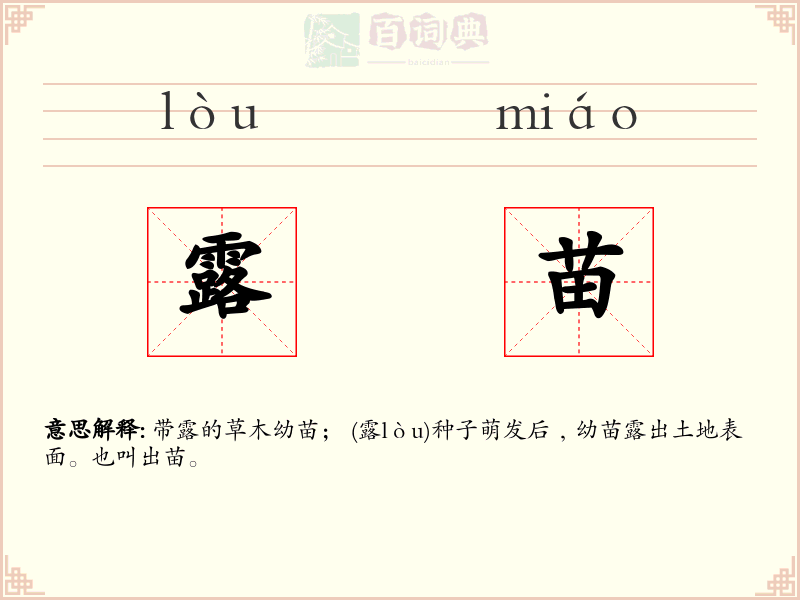 露苗