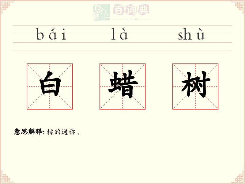 白蜡树