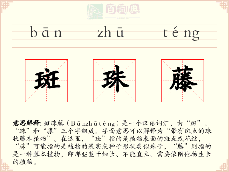 斑珠藤