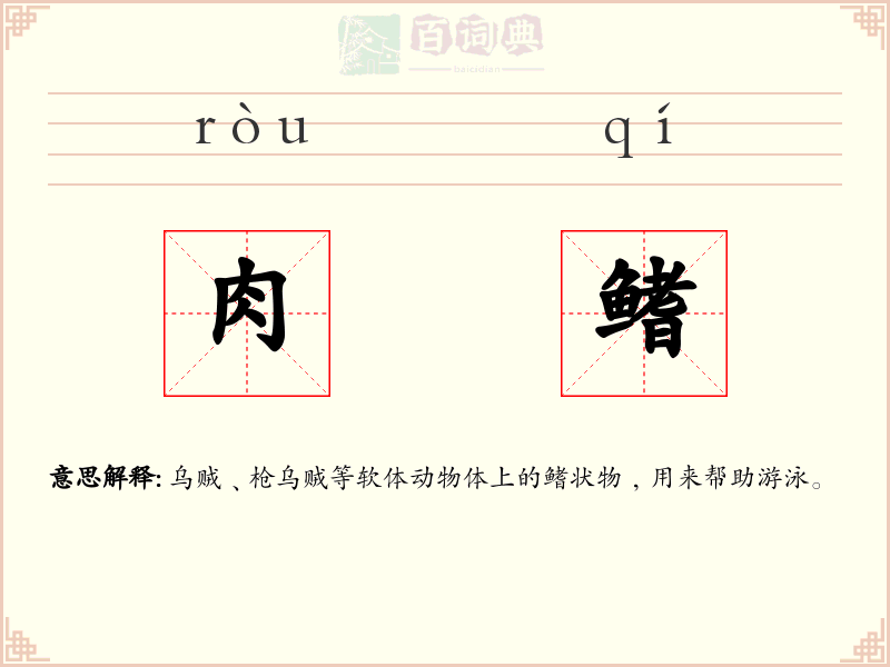 肉鳍