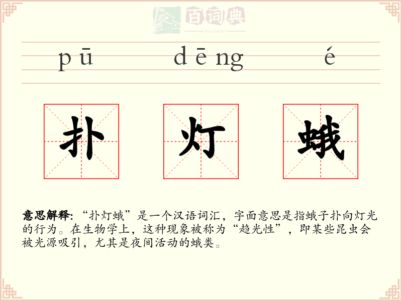 扑灯蛾
