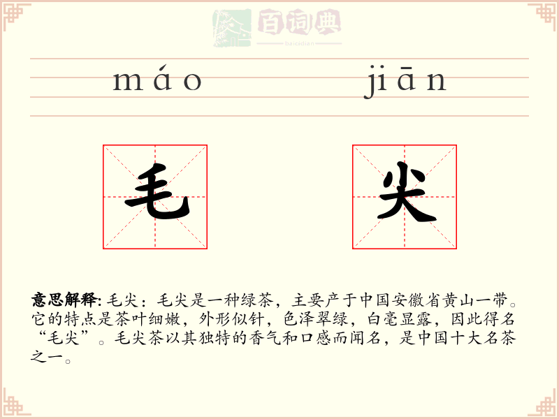 毛尖
