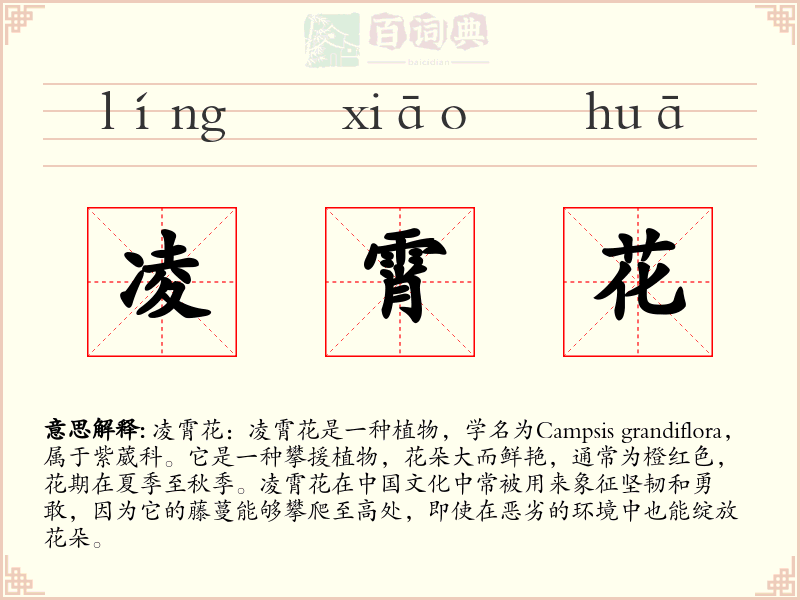 凌霄花