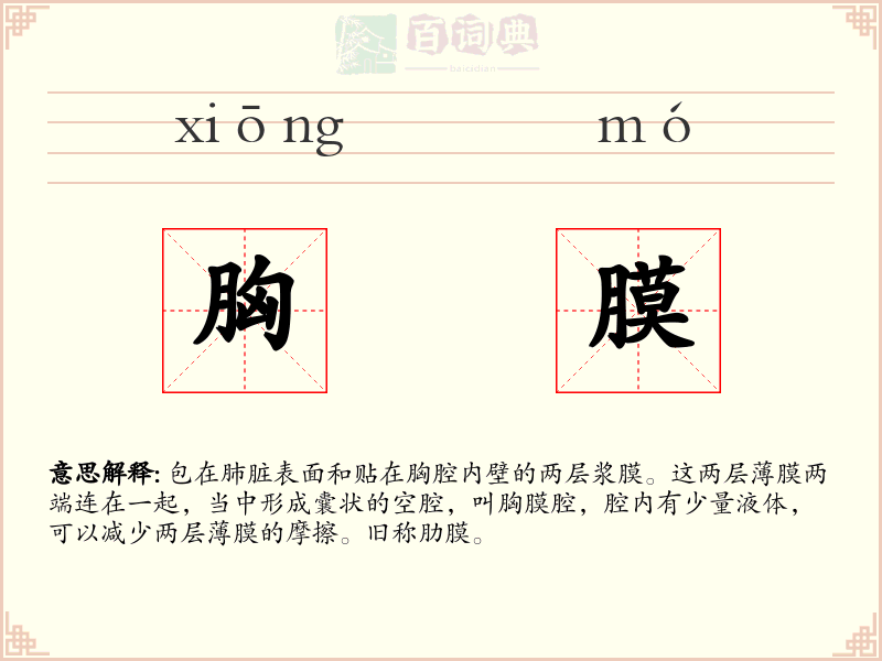 胸膜