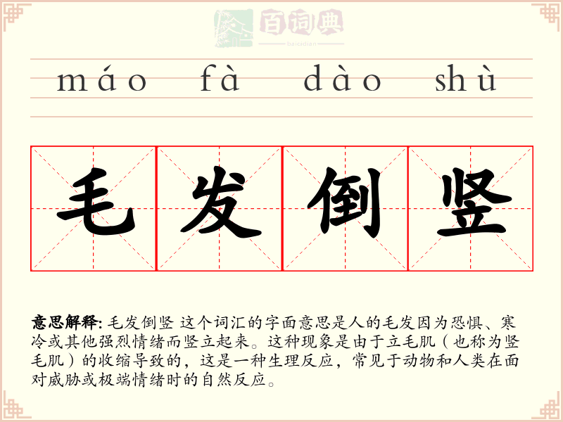 毛发倒竖