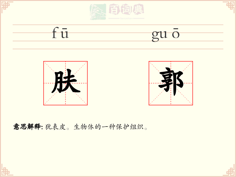 肤郭