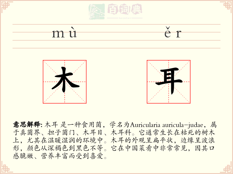 木耳