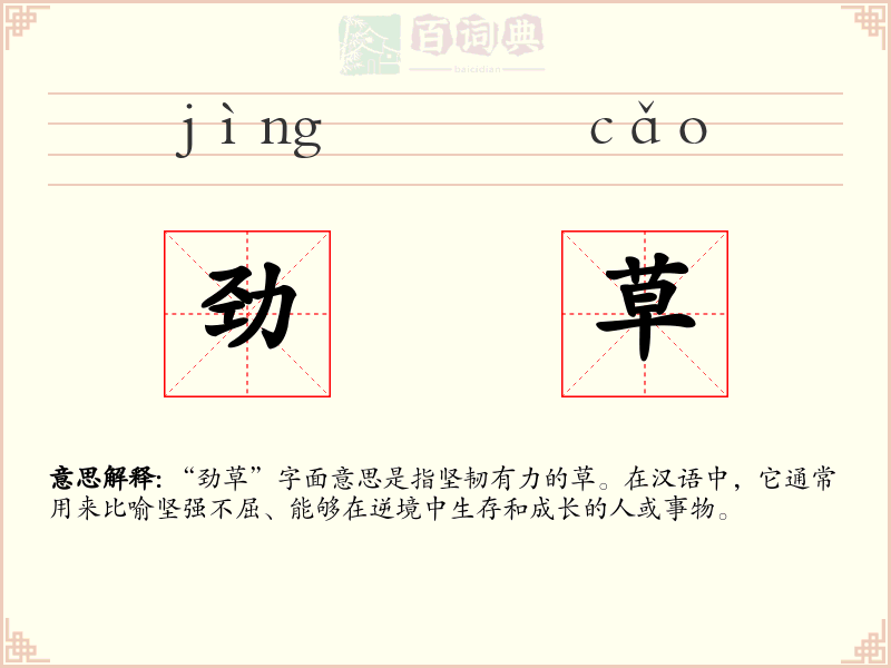 劲草