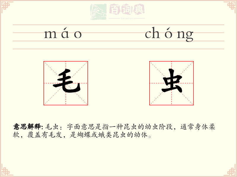 毛虫