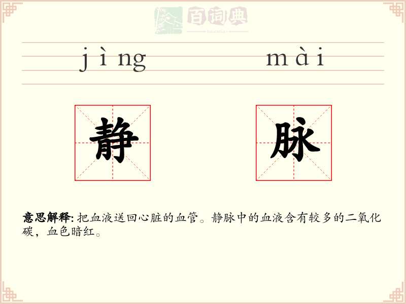 静脉