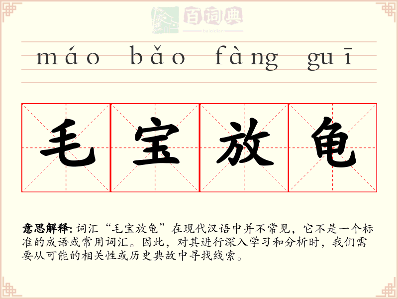毛宝放龟
