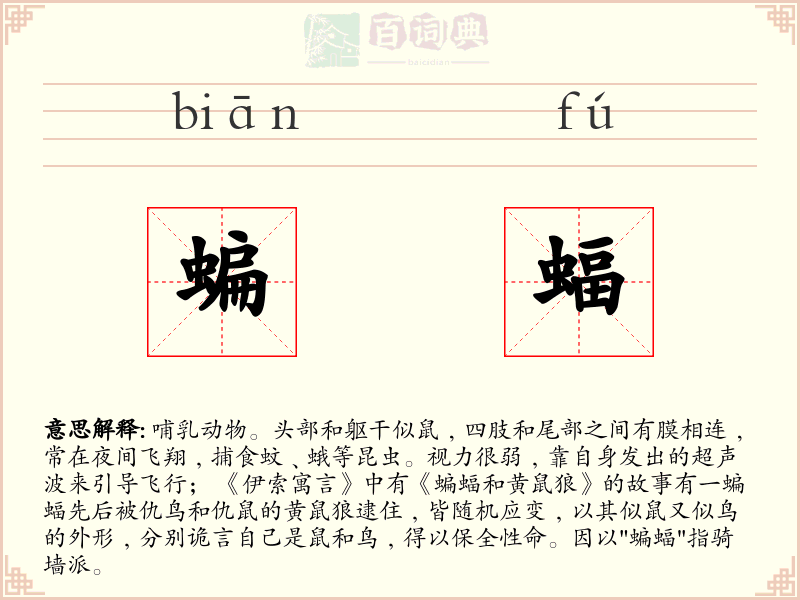 蝙蝠