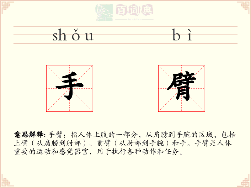 手臂