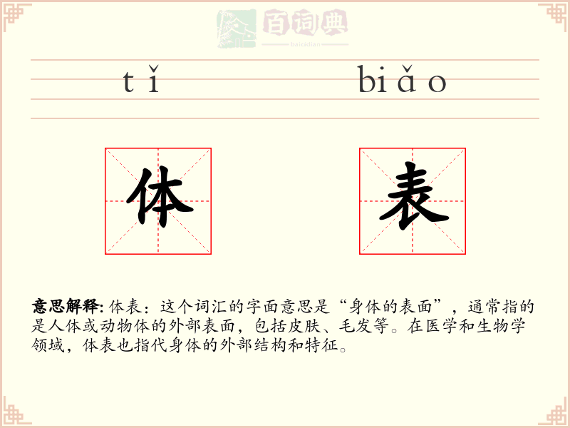 体表