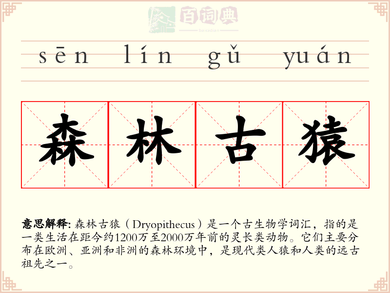 森林古猿