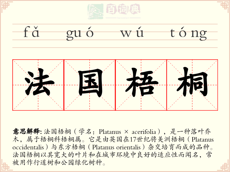 法国梧桐