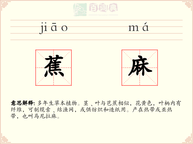 蕉麻