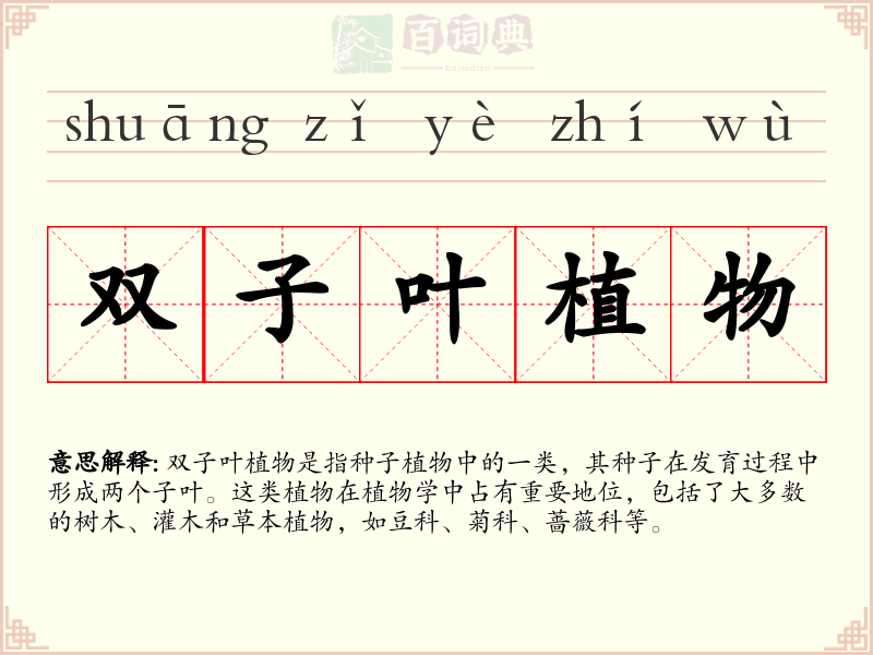 双子叶植物
