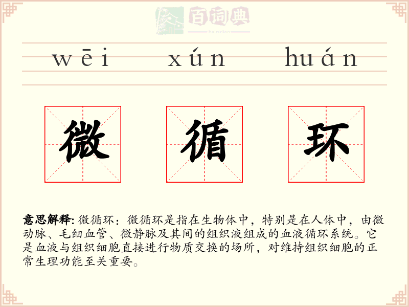 微循环
