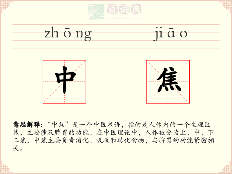 中焦