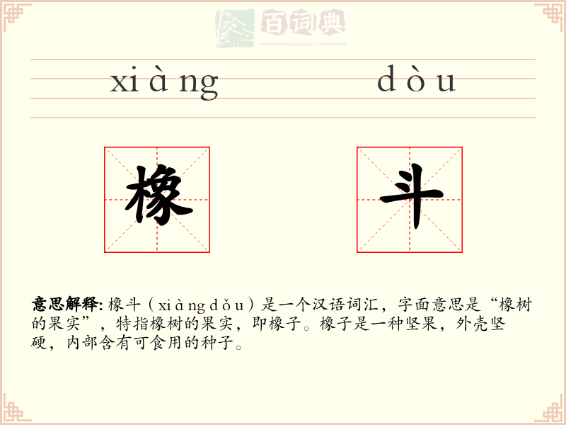 橡斗