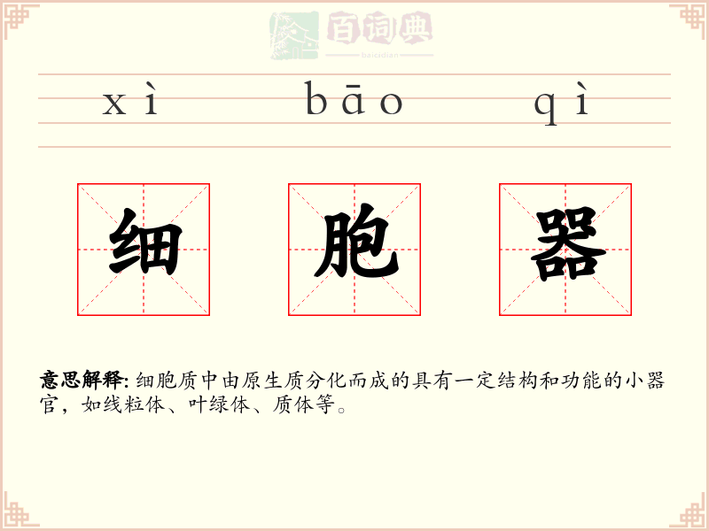 细胞器