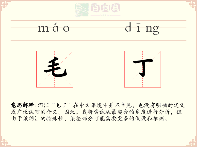 毛丁