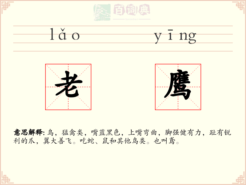 老鹰