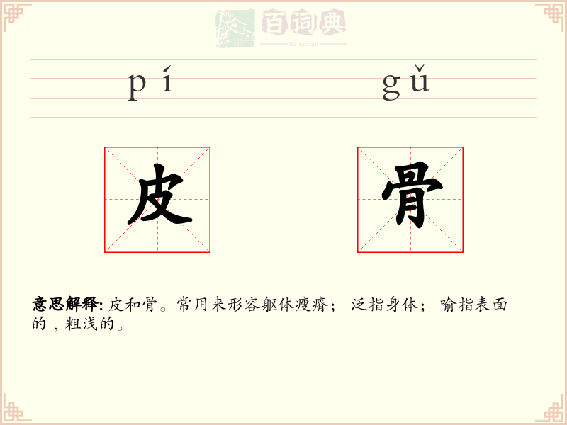 皮骨