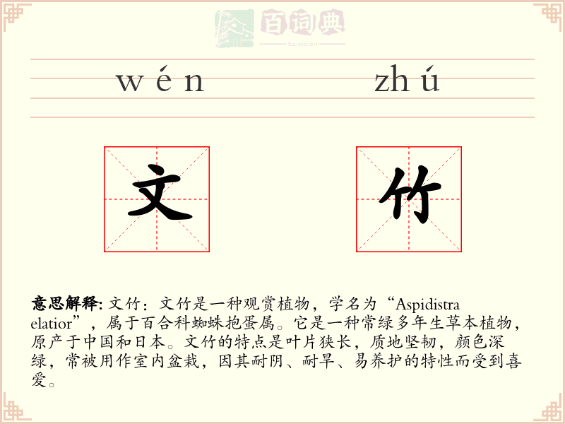 文竹