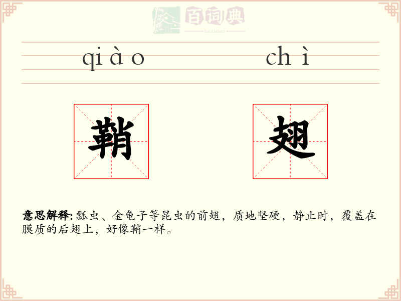 鞘翅