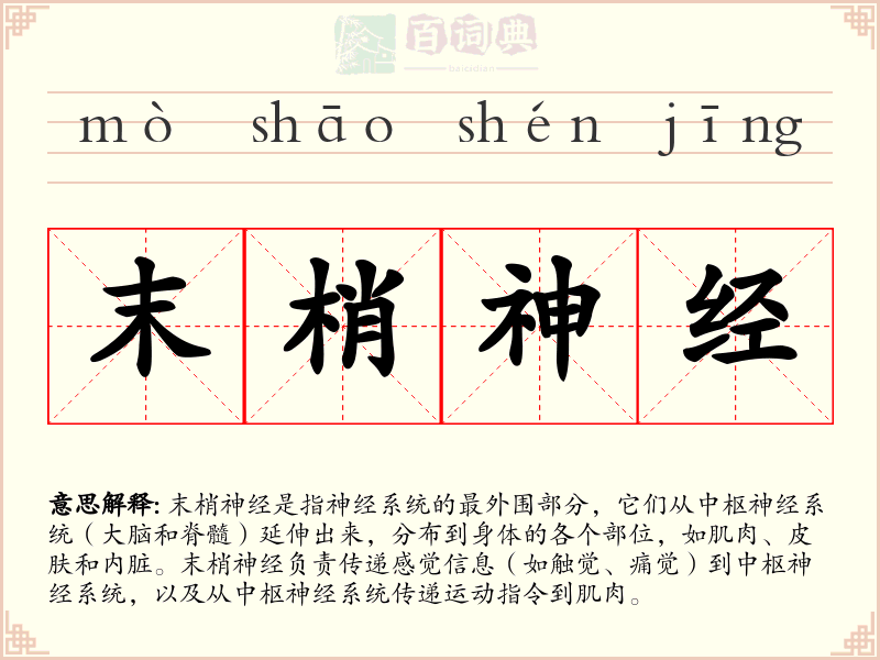 末梢神经
