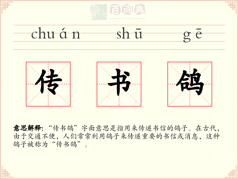 传书鸽