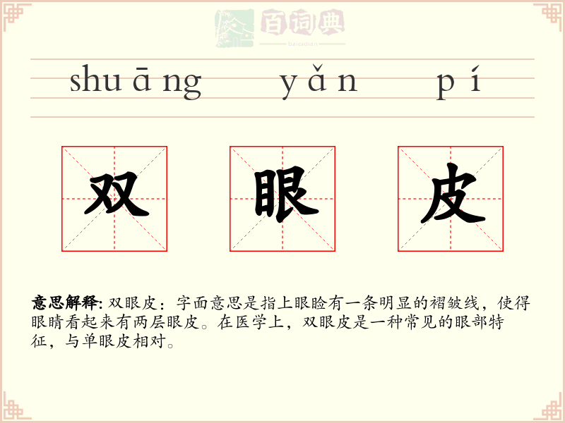 双眼皮