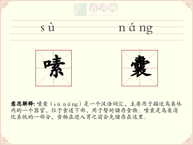 嗉囊