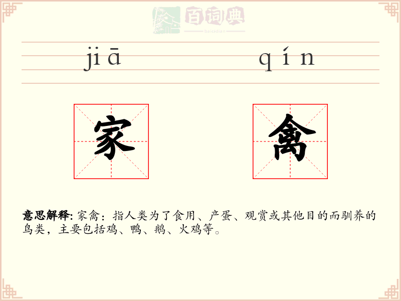 家禽