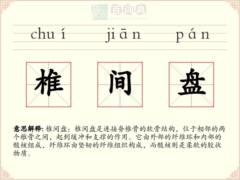 椎间盘