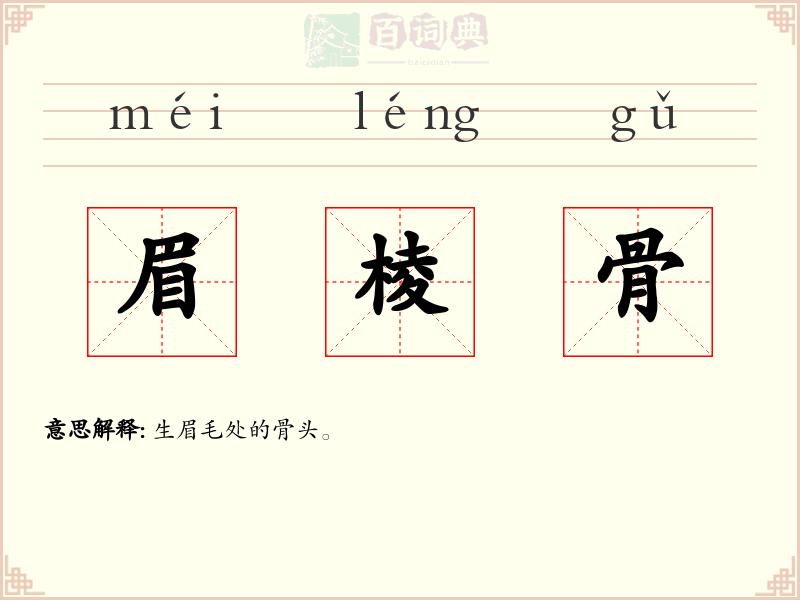 眉棱骨