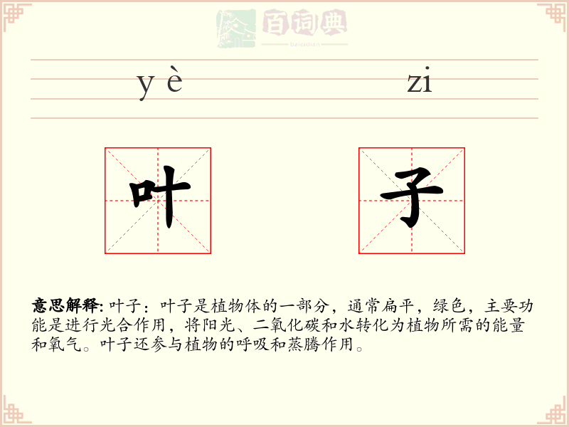 叶子