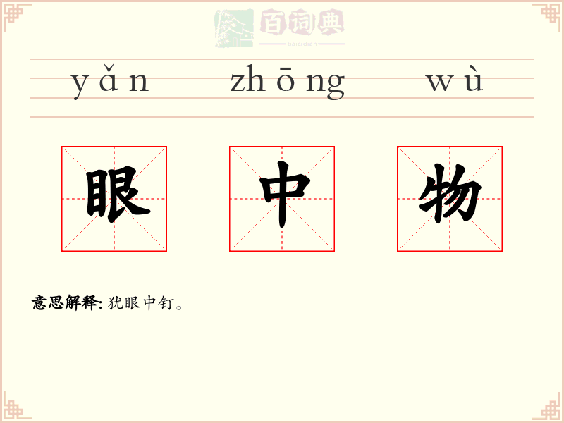 眼中物