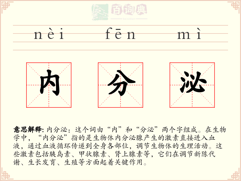 内分泌