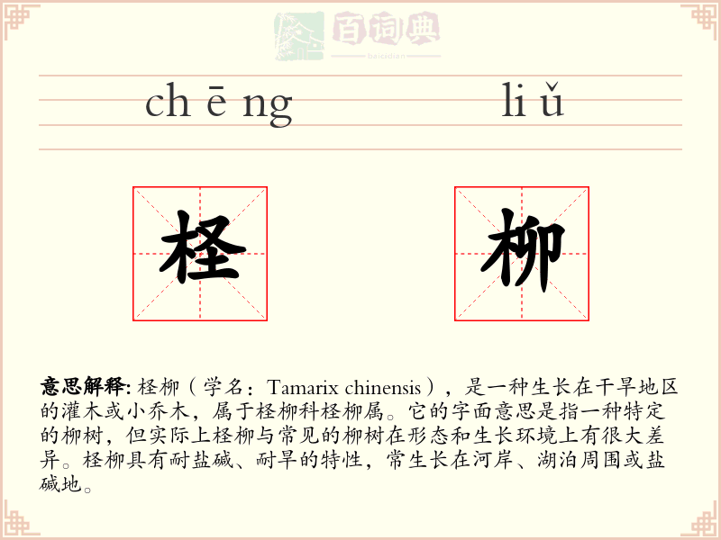 柽柳