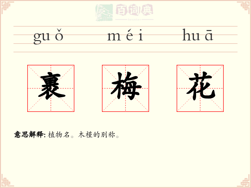 裹梅花