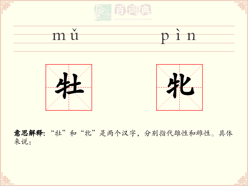 牡牝