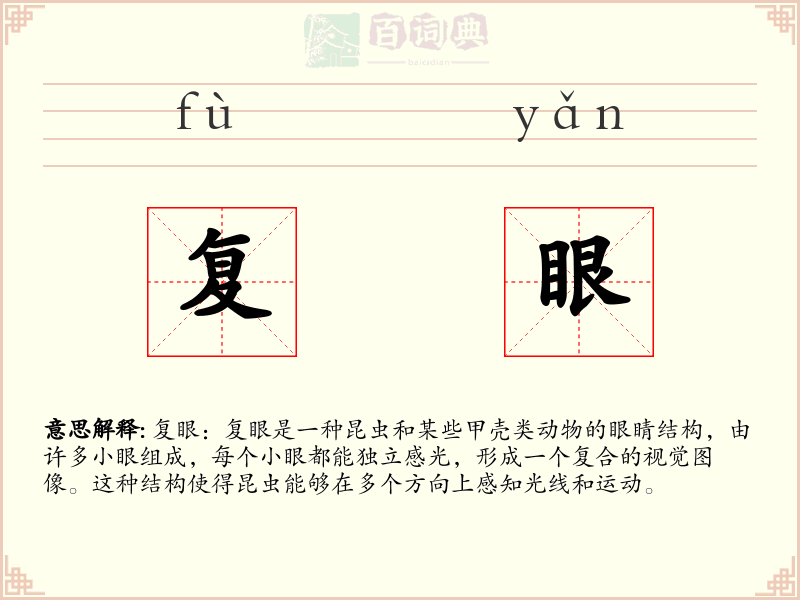 复眼
