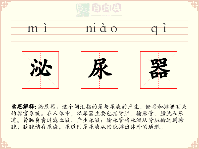 泌尿器