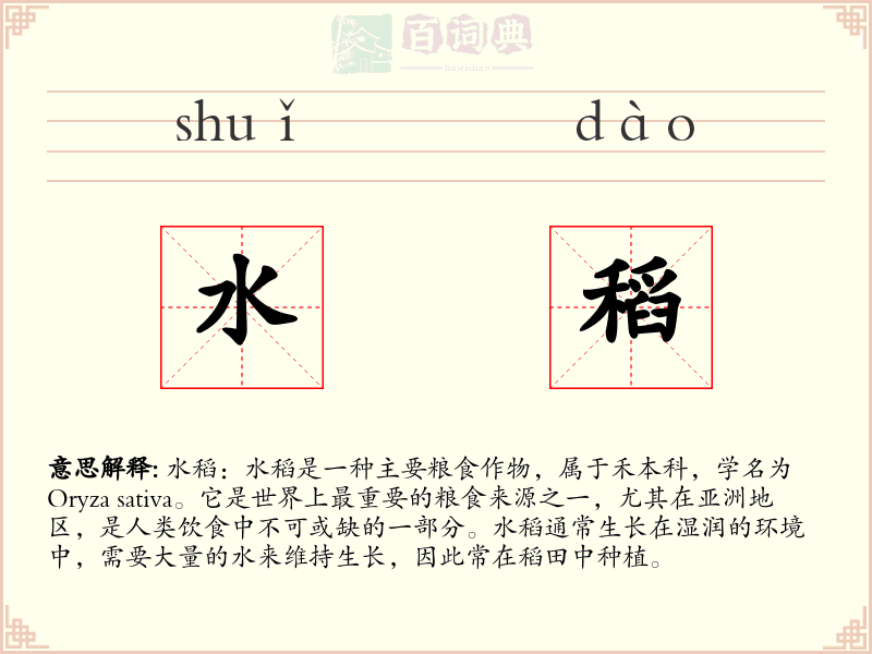 水稻