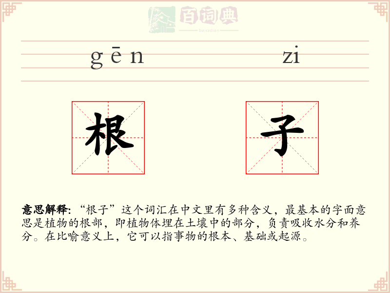 根子