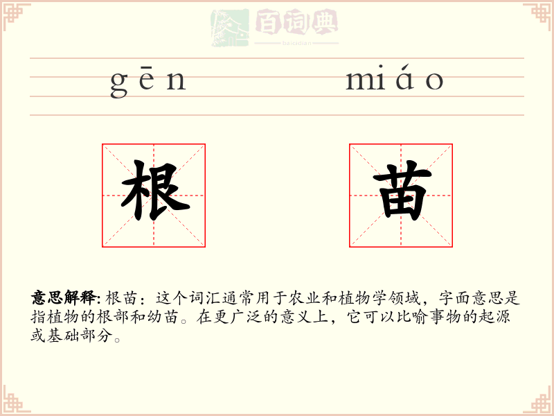 根苗